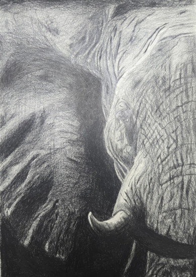 3. 박병건 그림.jpg